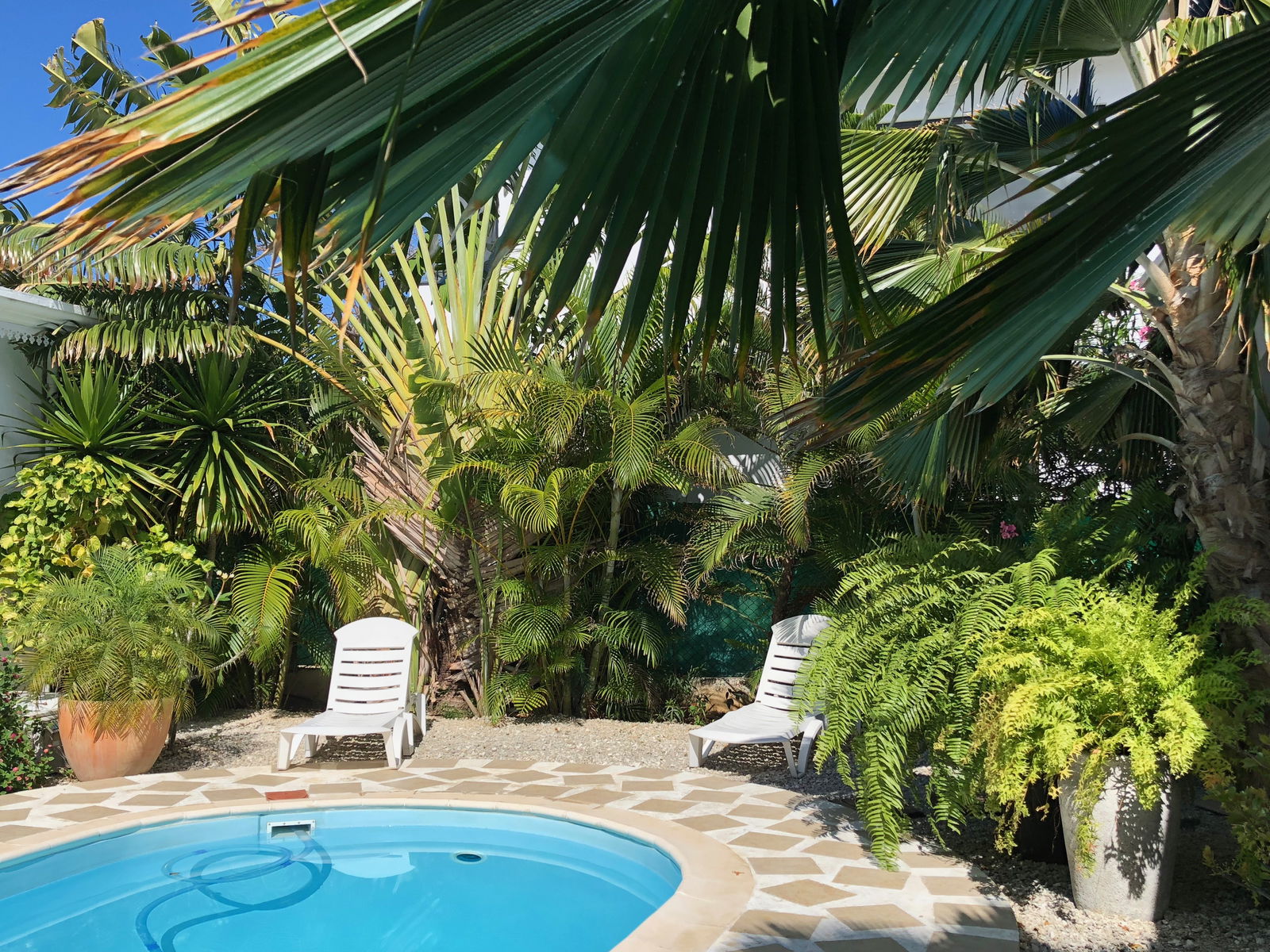 Homestay Rivière Noire 166887