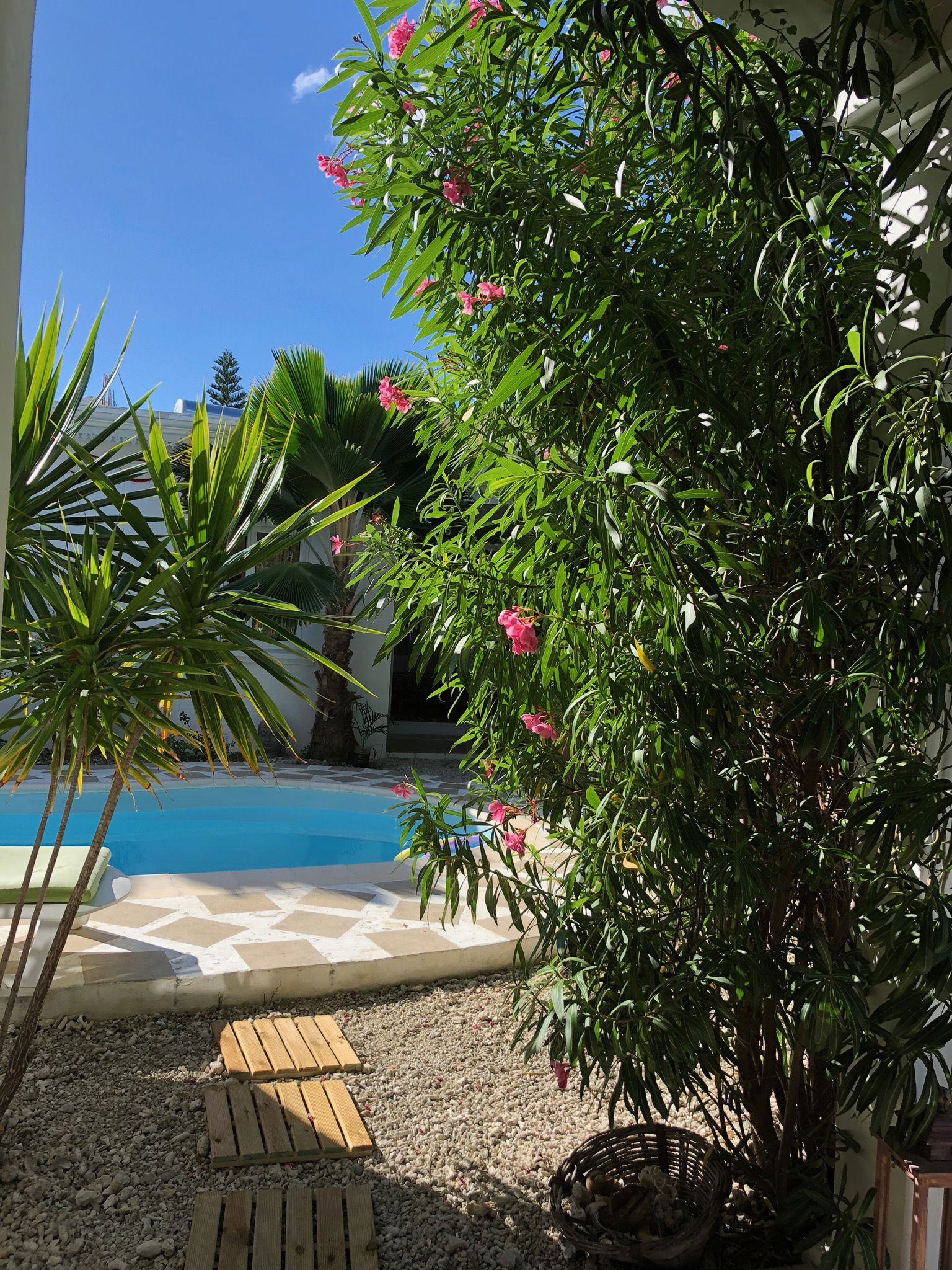 Homestay Rivière Noire 166887