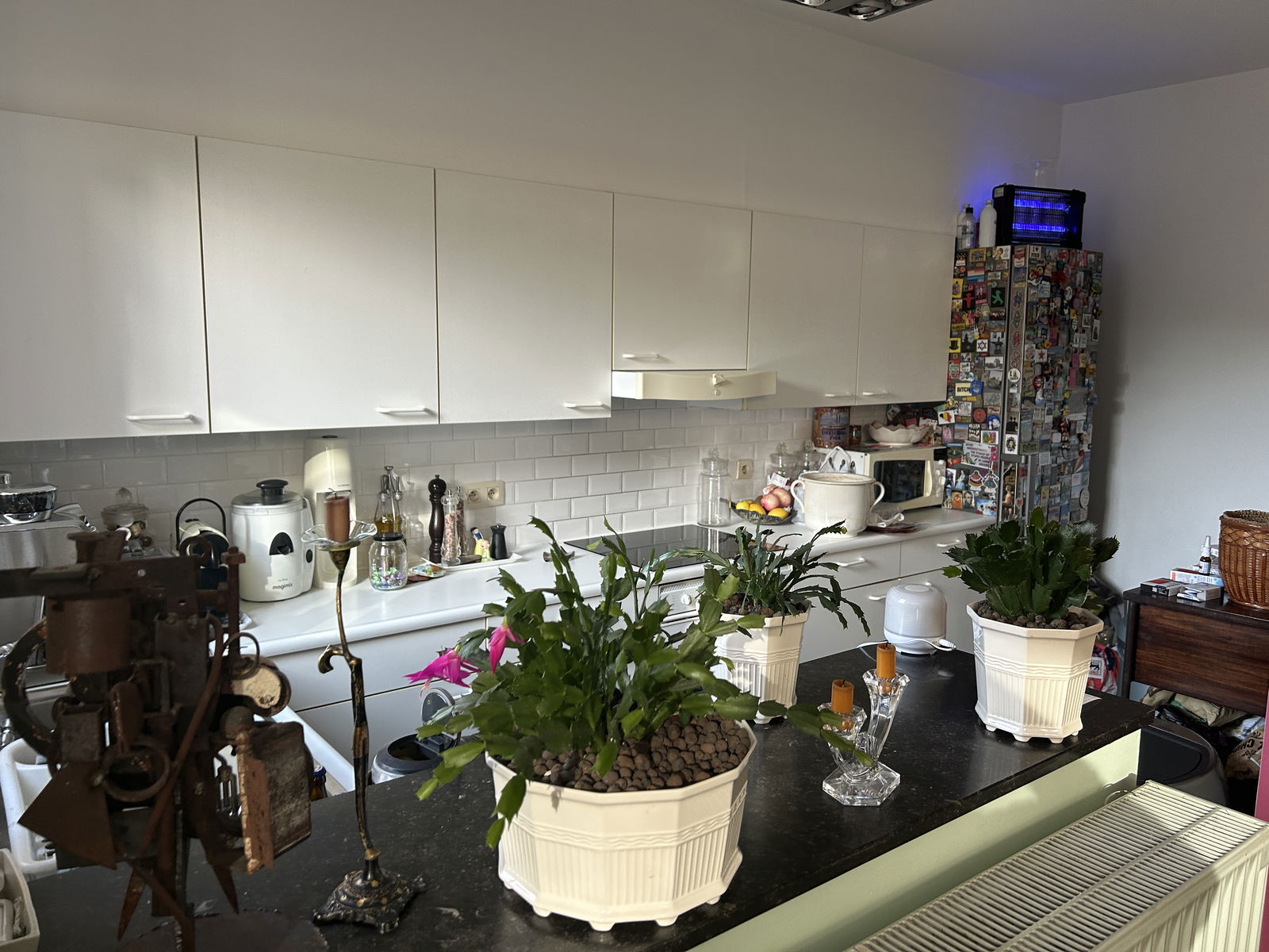 Colocation Bruxelles 143841