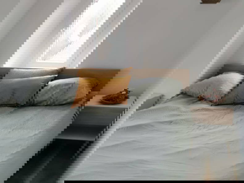 Hela Huset Belfort 263996-2