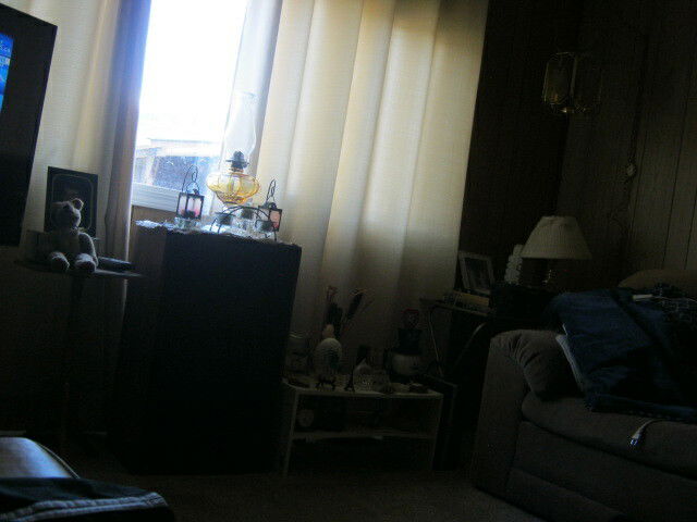Homestay Fruitvale 183811
