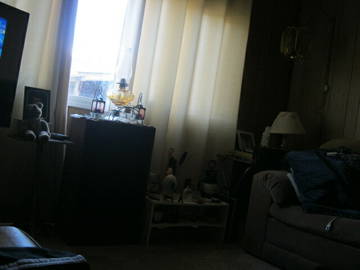 Chambre Chez L'habitant Fruitvale 183811-7