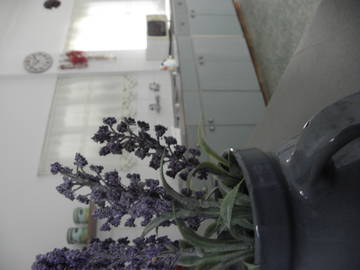 Chambre Chez L'habitant Egkomi 163378-12