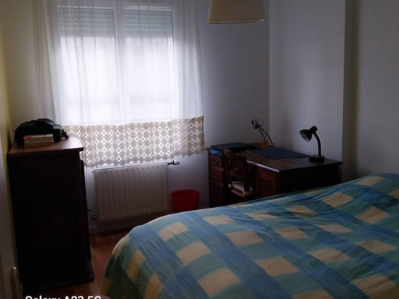 Chambre Chez L'habitant Villeurbanne 254915-4