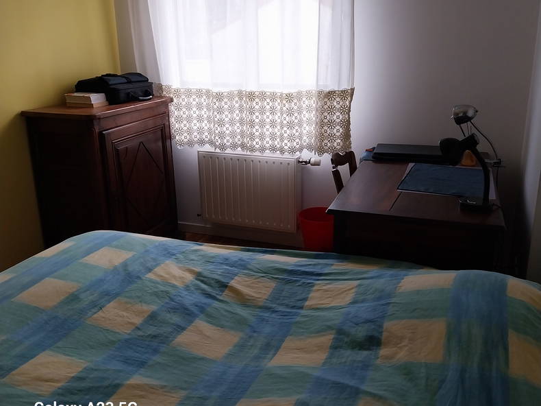 Chambre Chez L'habitant Villeurbanne 254915-5