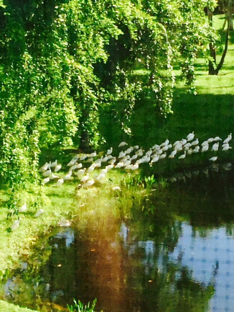 Zakwaterowanie U Rodziny Delray Beach 125903