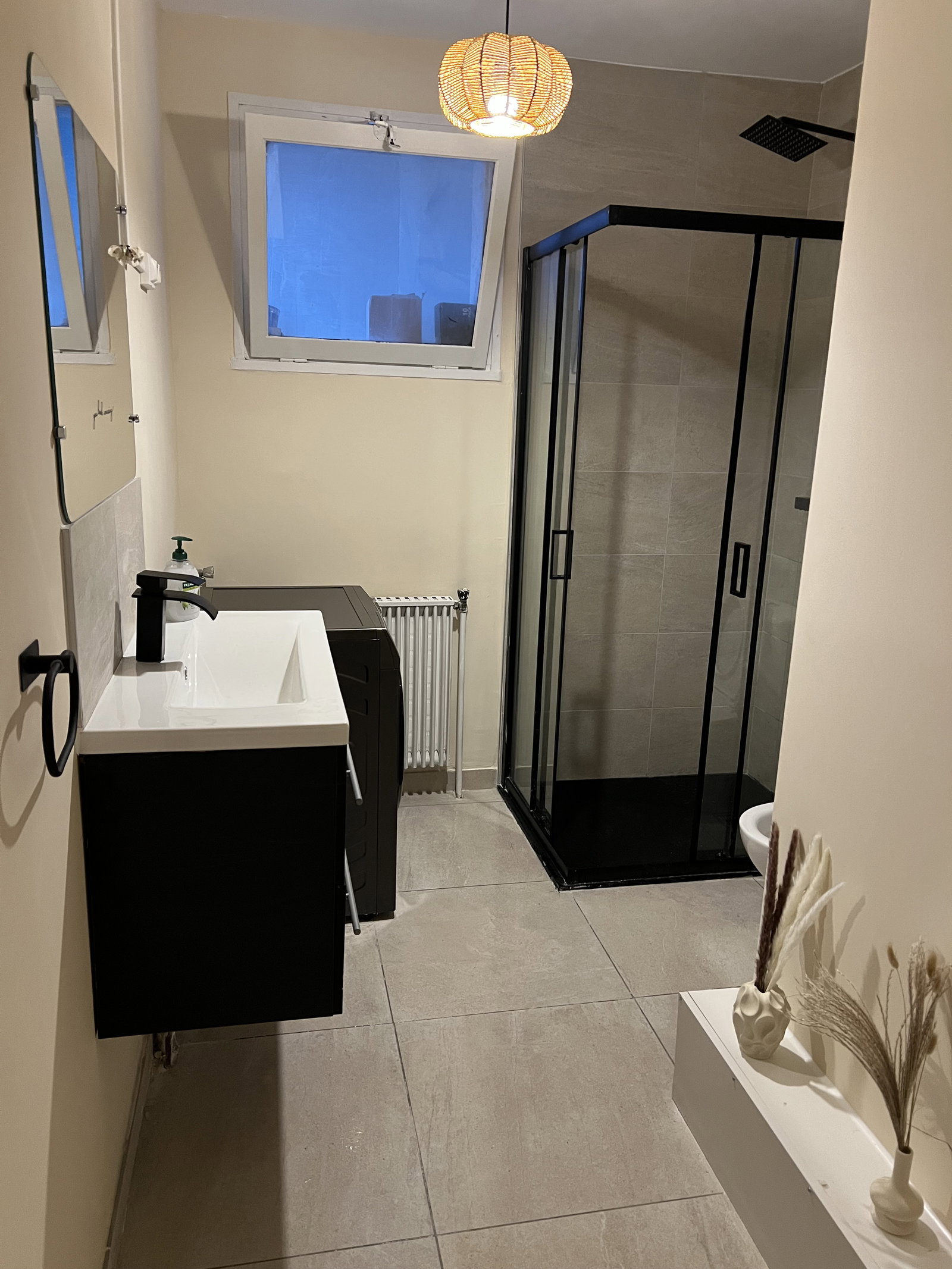 Colocatie Grenoble 650207