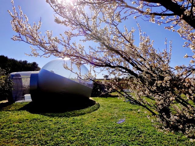 Bed And Breakfast Bize-Minervois 94018