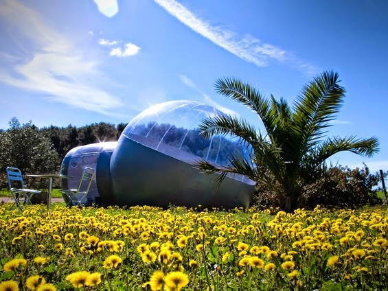 Chambres D'hôtes Bize-Minervois 94018-4