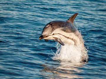 Quedarse En Casa Hyères 145904-8