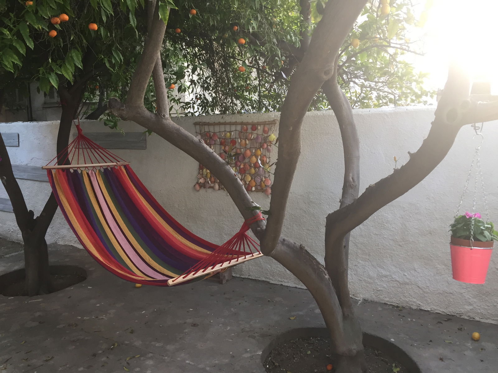 Gastfamilie Egkomi 163378