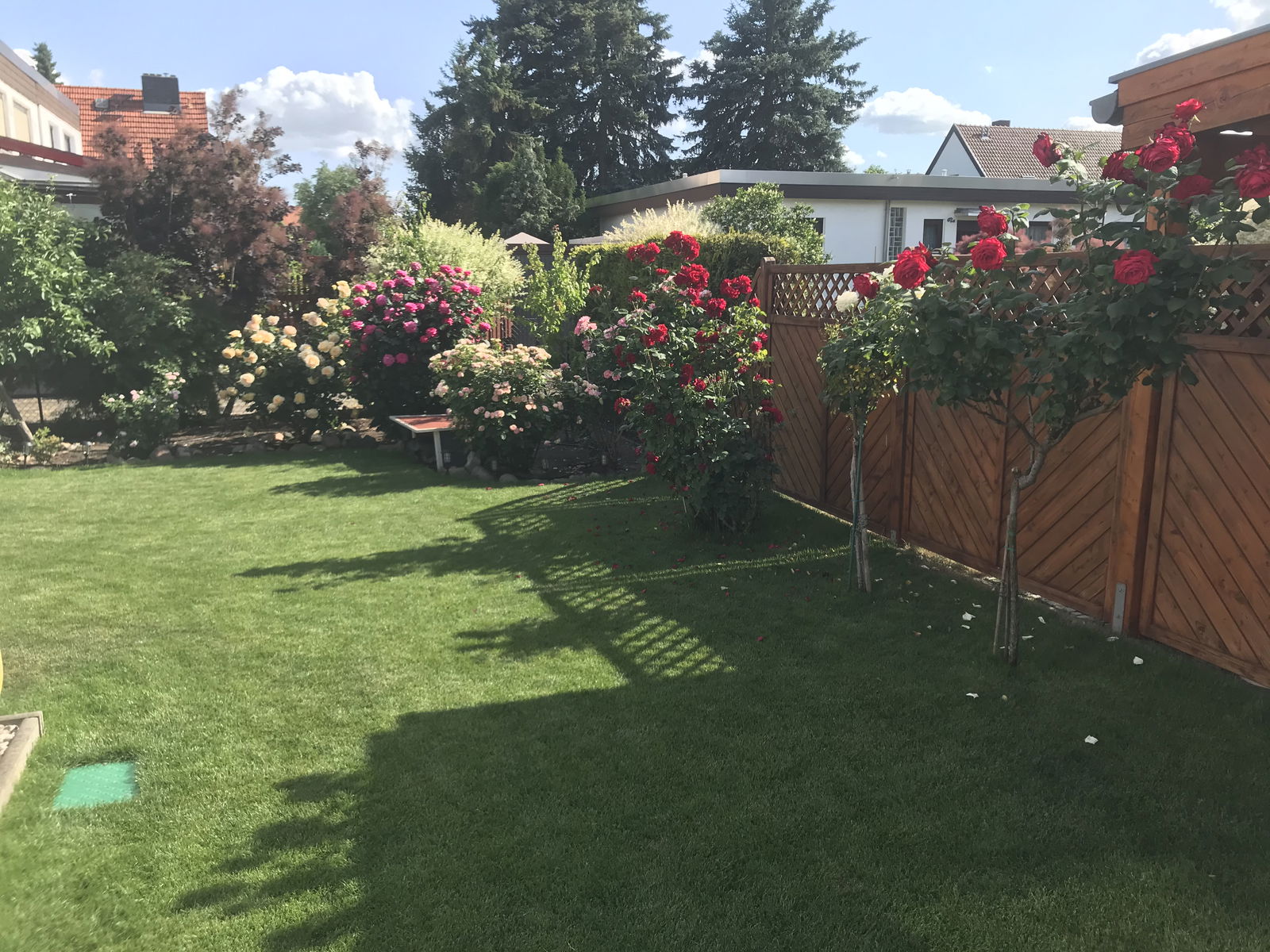 Homestay Berlin 267204