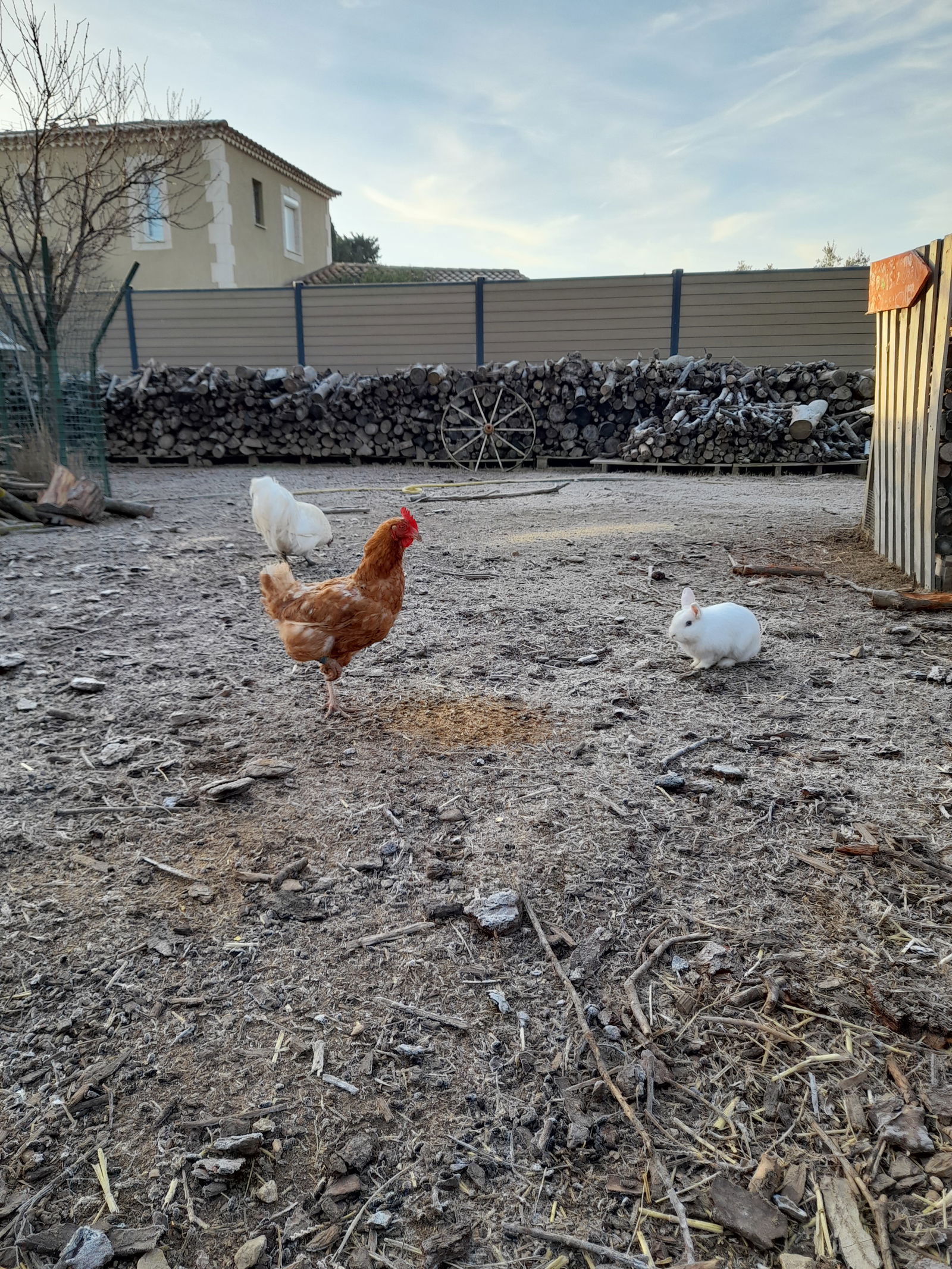 Estudio Independiente Saint-Martin-de-Crau 279080