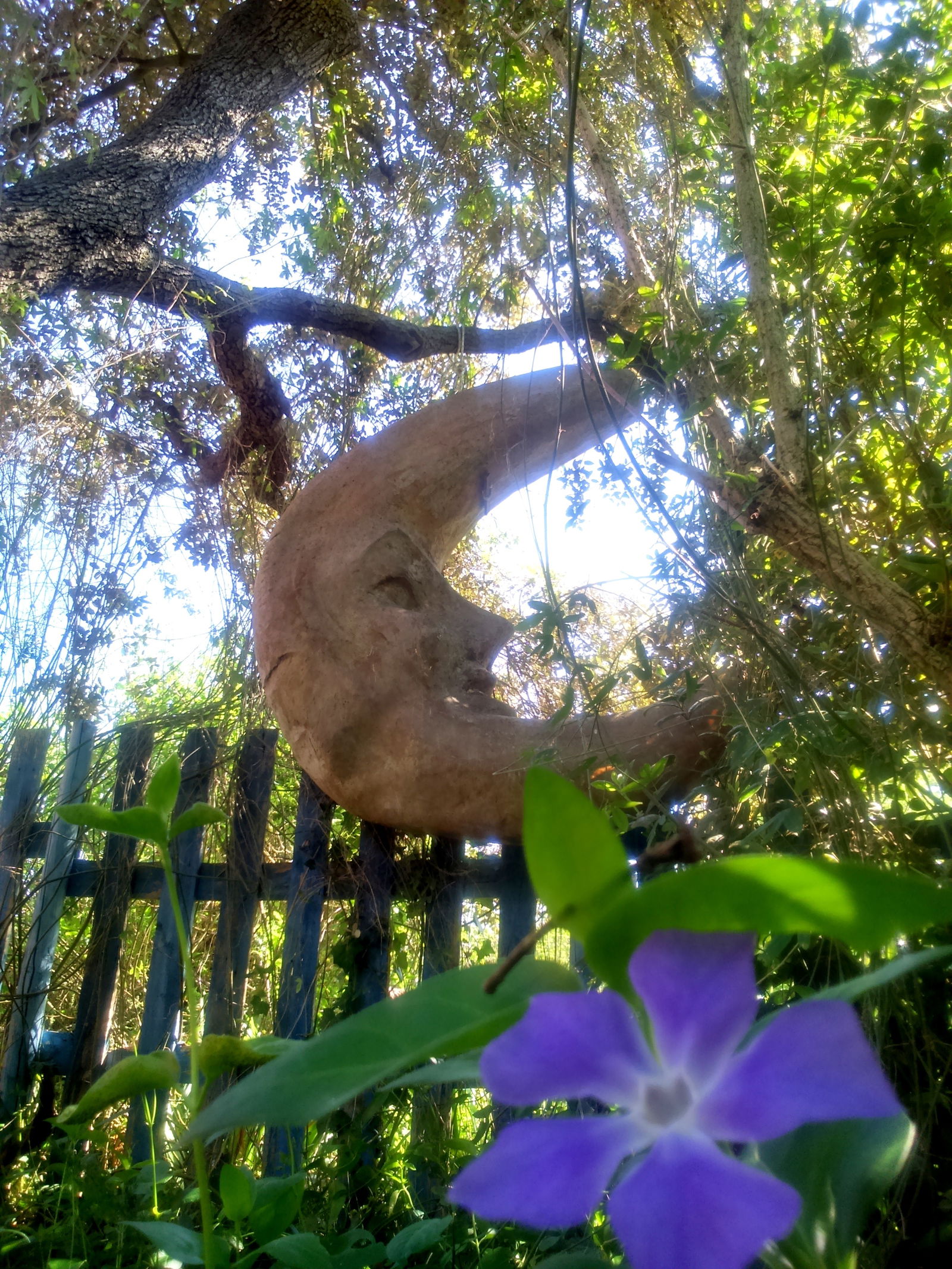 Zakwaterowanie U Rodziny Junas 45435