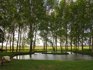 Zakwaterowanie U Rodziny Vix 646439