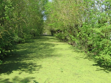 Zakwaterowanie U Rodziny Vix 646439