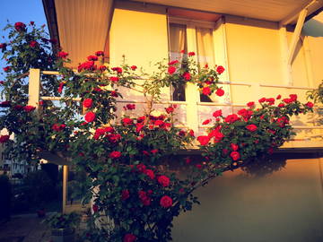 Roomlala | Noclegi typu Bed and Breakfast do wynajęcia w domu miejscowego 