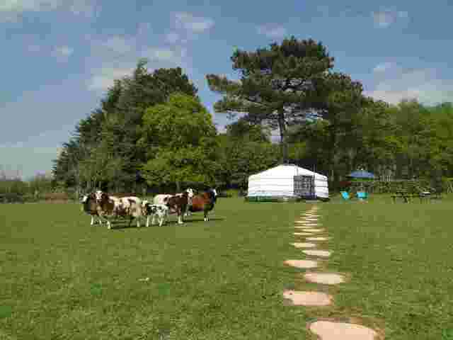 Pokoje Gościnne Guidel 35675