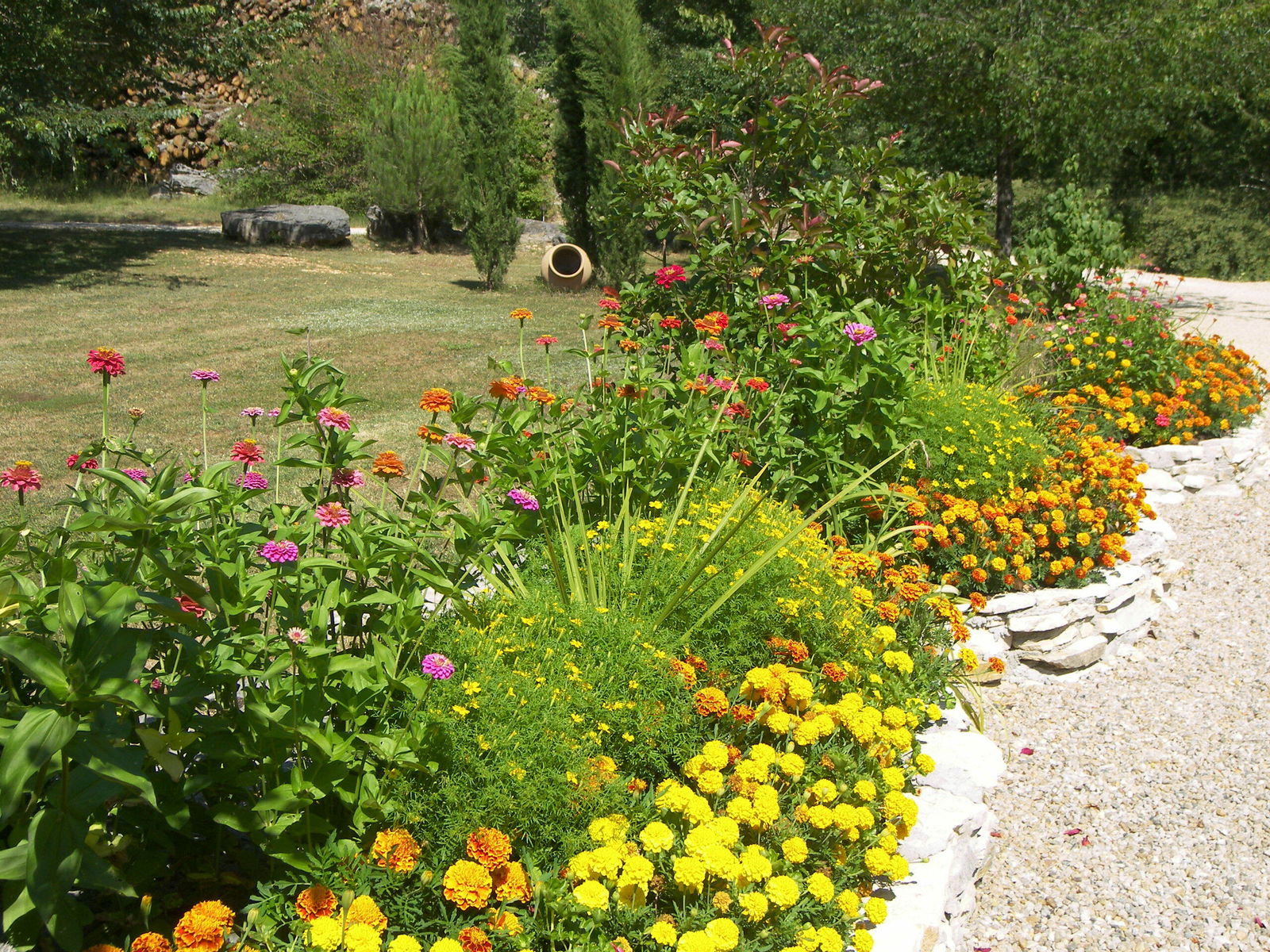 Pokoje Gościnne Catus 124211