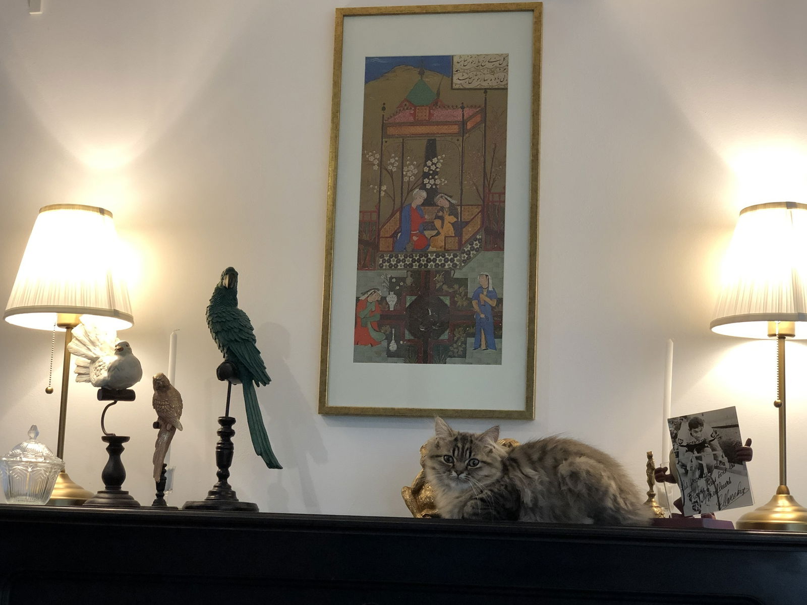 Tutta La Casa Virton 228624