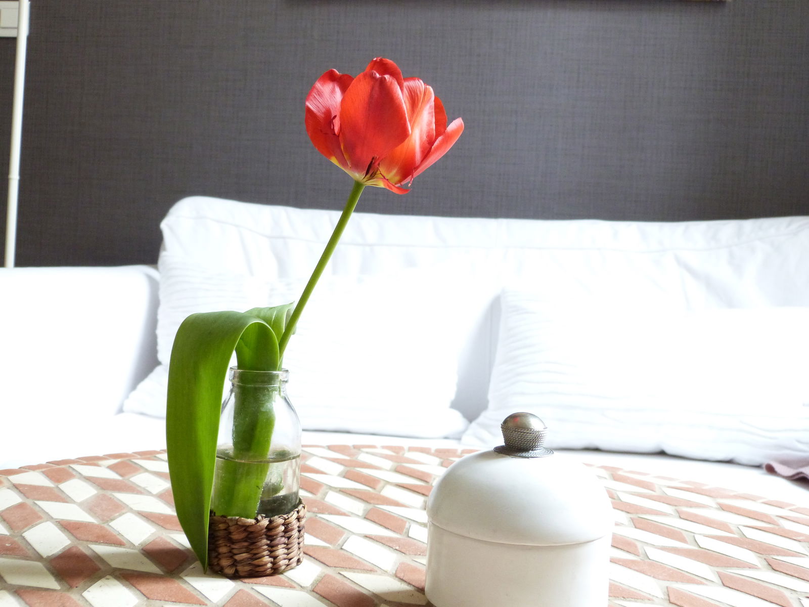 Tutta La Casa Dijon 6069