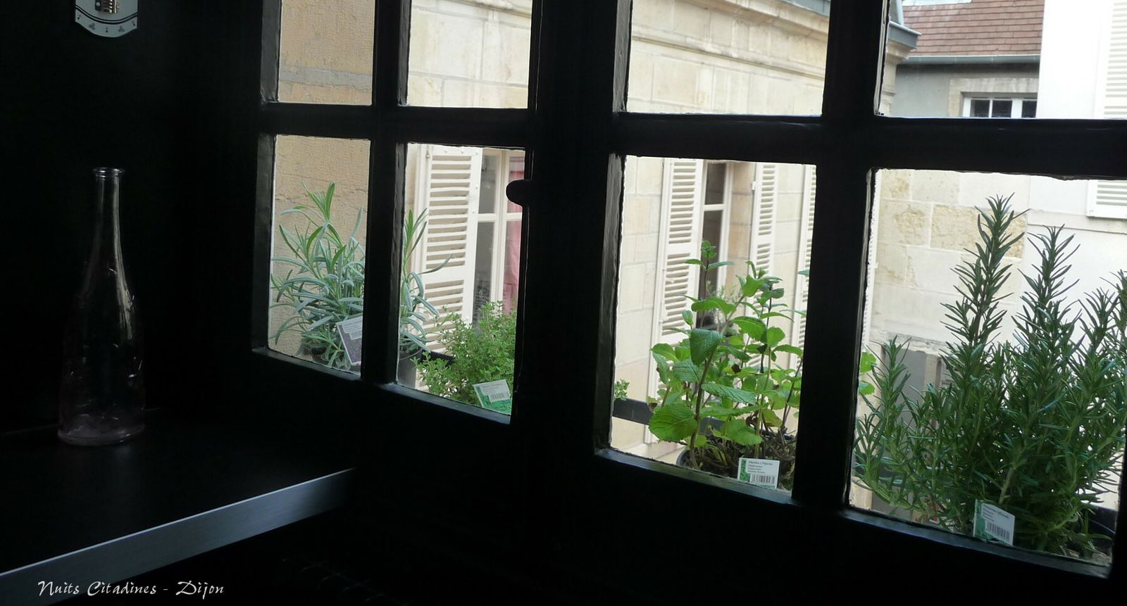 Tutta La Casa Dijon 6069