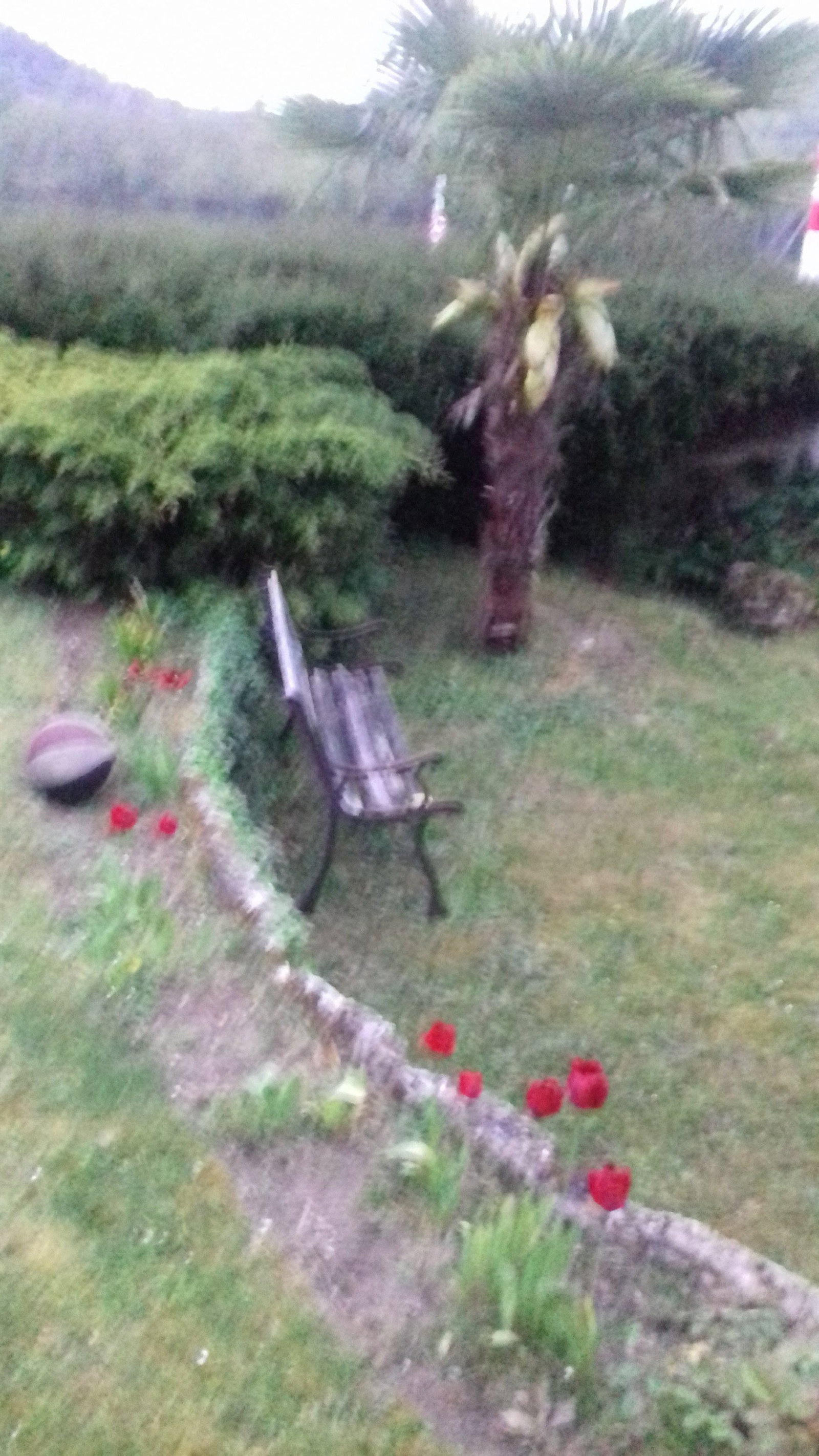 Famiglia Vernon 255396