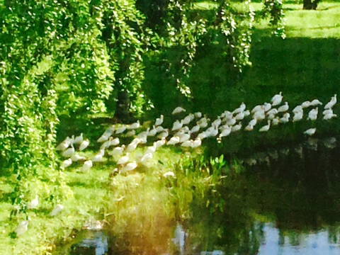 Gastfamilie Delray Beach 125903-1