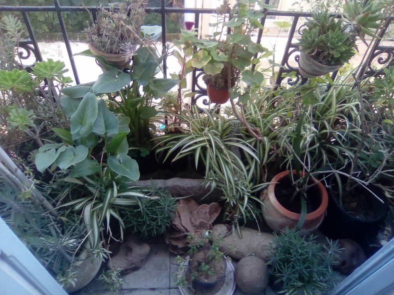 Chambre Chez L'habitant Tunis 188929-5