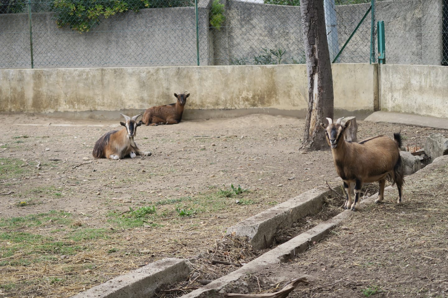 Tutta La Casa Saint-Martin-de-Crau 279080
