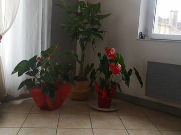 Chambre chez l'habitant à louer à Troyes - photo 5 : autre pièce-5