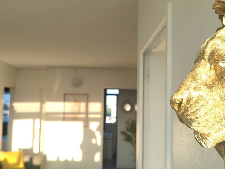 Colocation Évry-Courcouronnes 547187-2