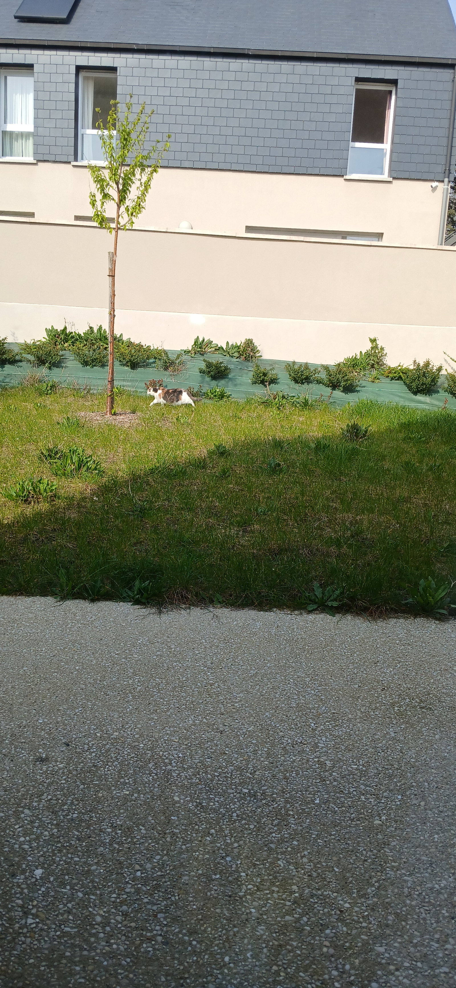 Quedarse En Casa Chécy 661710