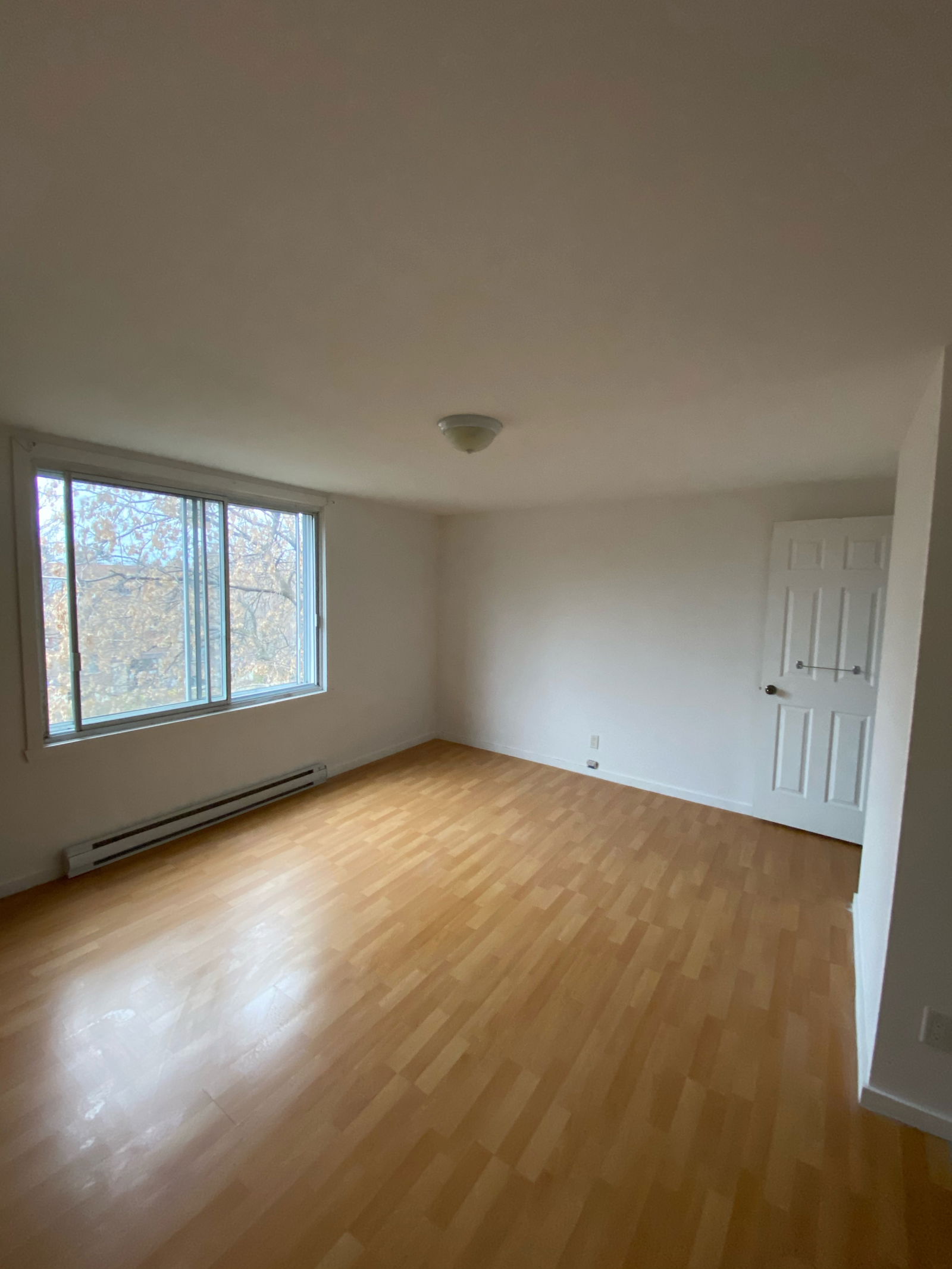 Estudio Independiente Montréal 246357