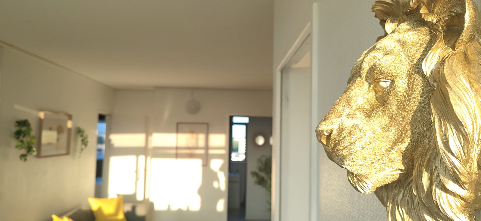 Collocazione Évry-Courcouronnes 547190