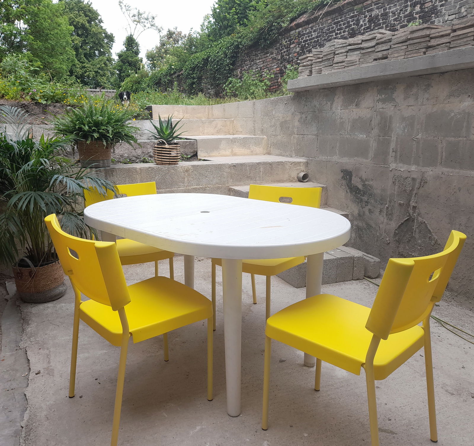 Tutta La Casa Charleroi 276999