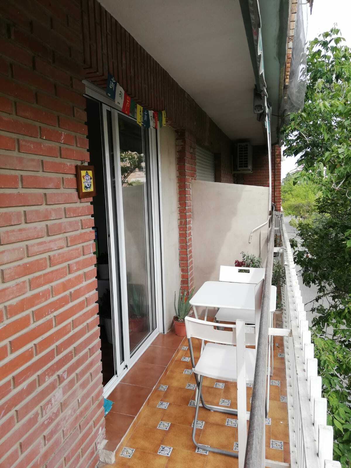 Gastfamilie València 234012