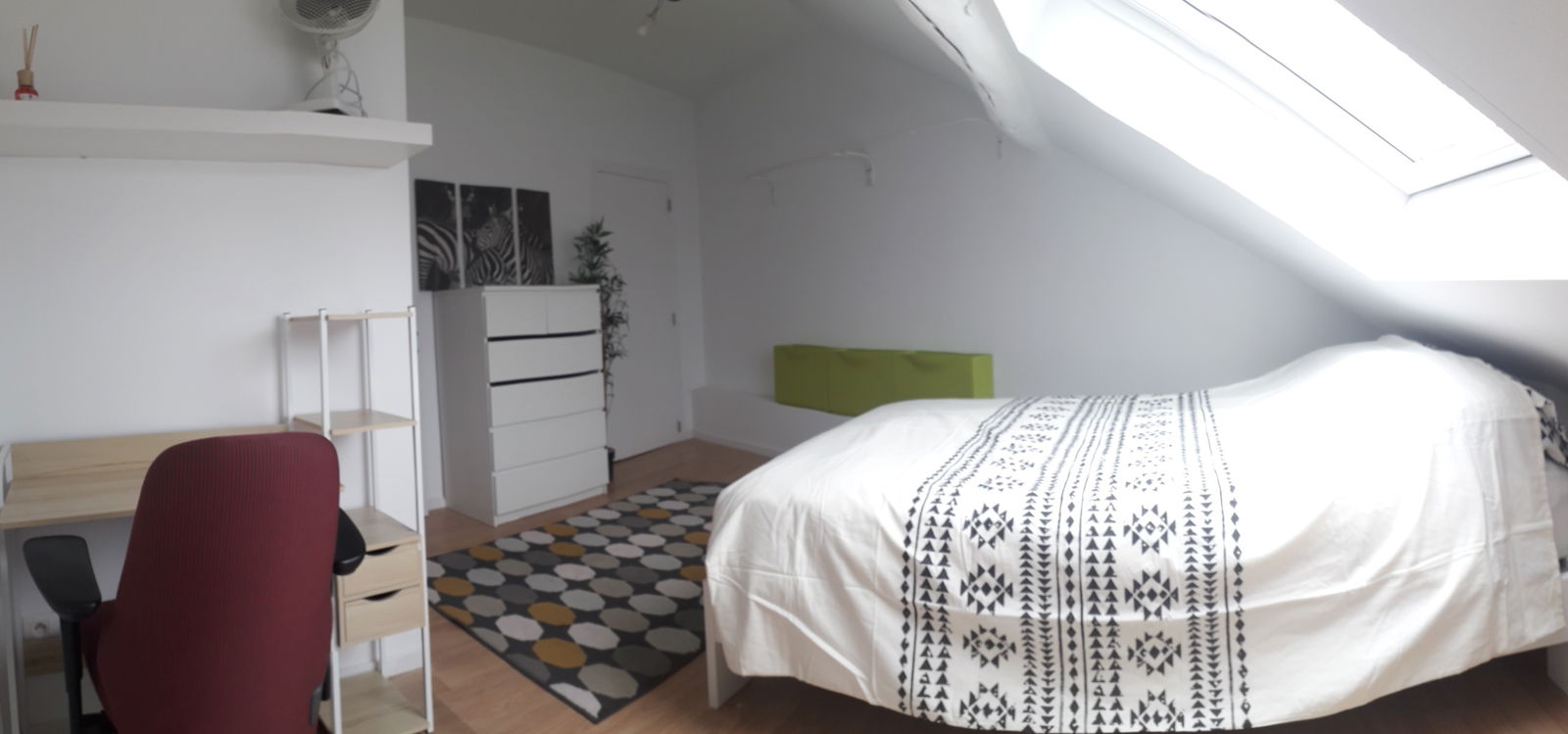 Kolokasie Charleroi 249648