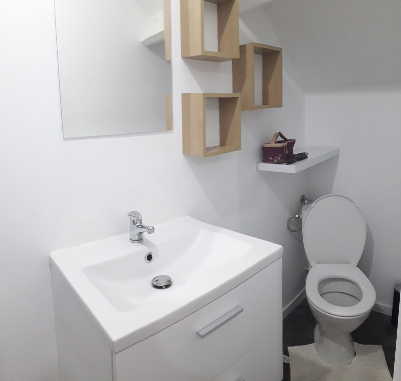 Kolokasie Charleroi 249648