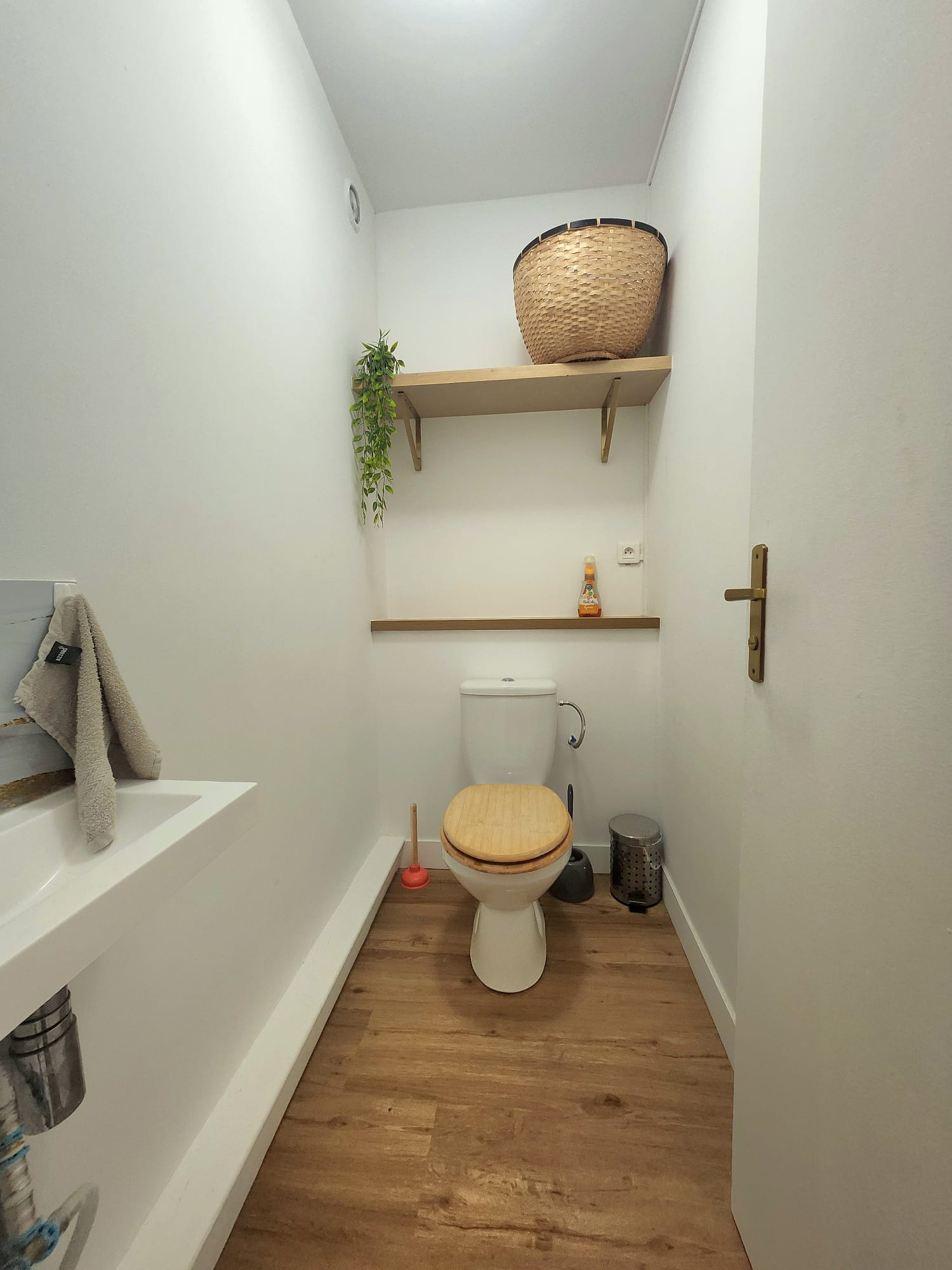 Kolokasie Créteil 403062