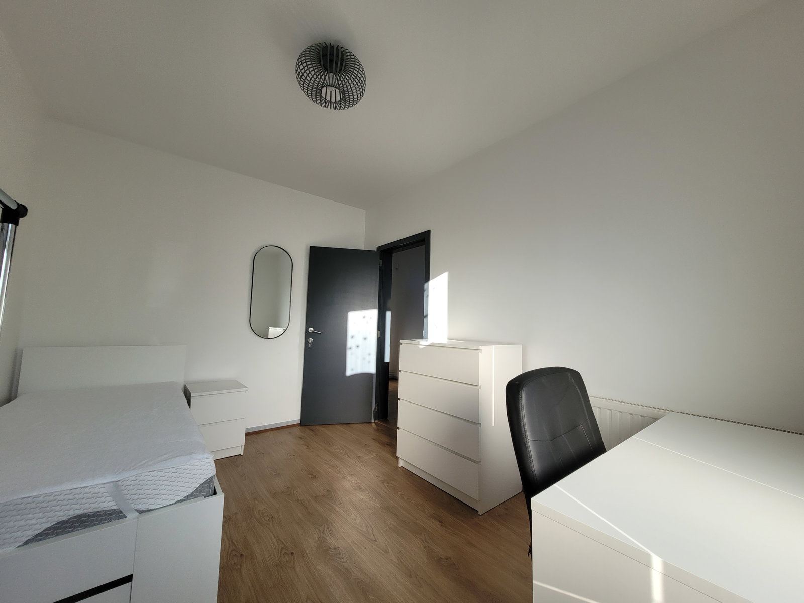 Kolokasie Tournai 497731