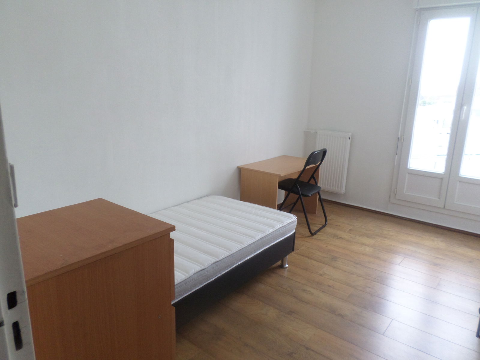 Kolokasie Saint-Brieuc 234139