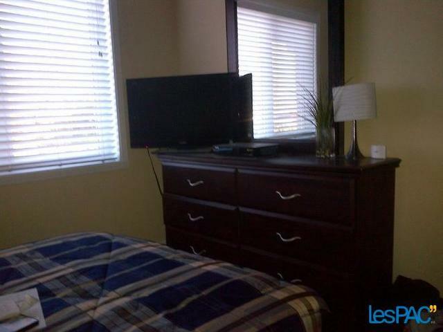 Kolokasie Lévis 61527