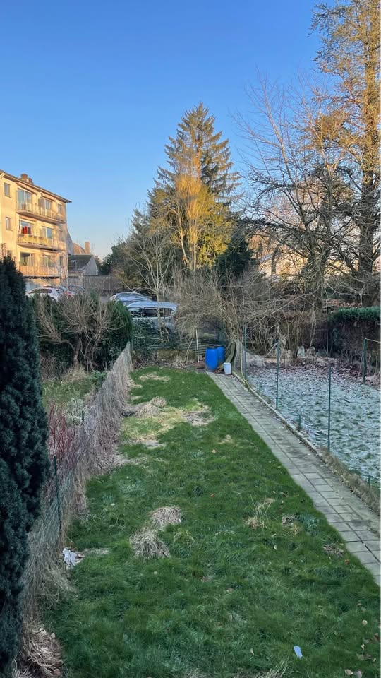 Colocation Arlon 481888