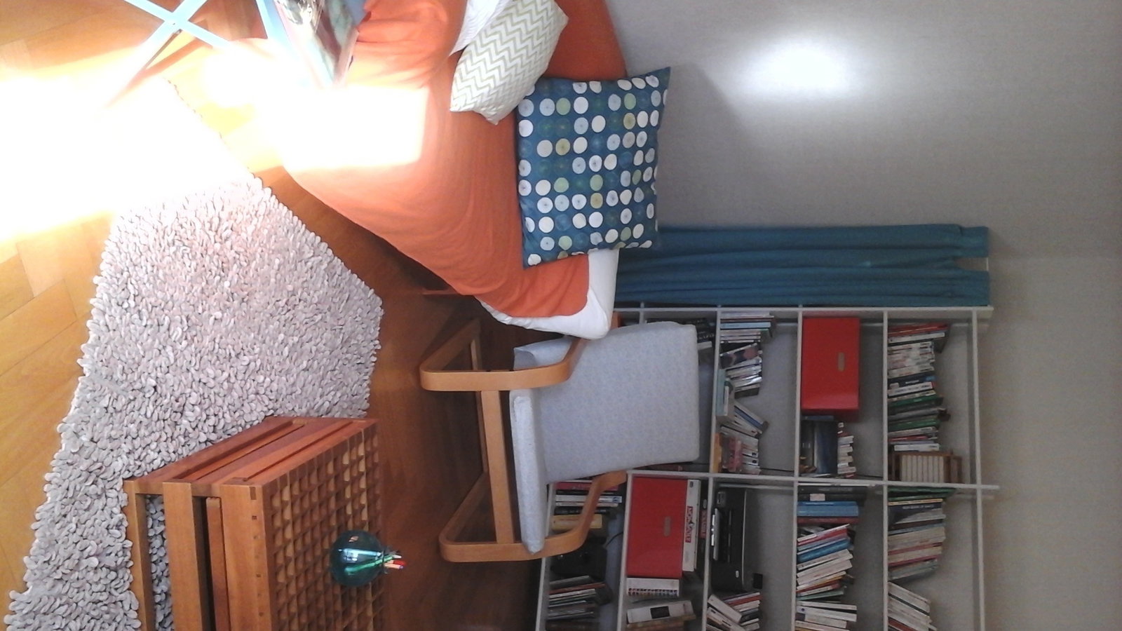 Kolokasie Nyon 110105