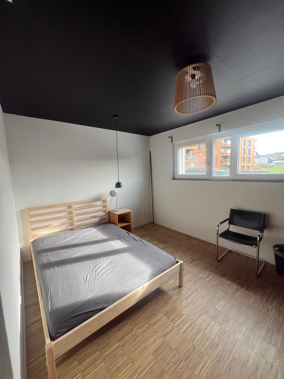 Colocation Châtel-Saint-Denis 633050