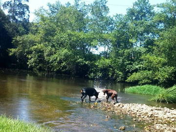 Chambre D'hôte Viana Do Castelo 162490-10