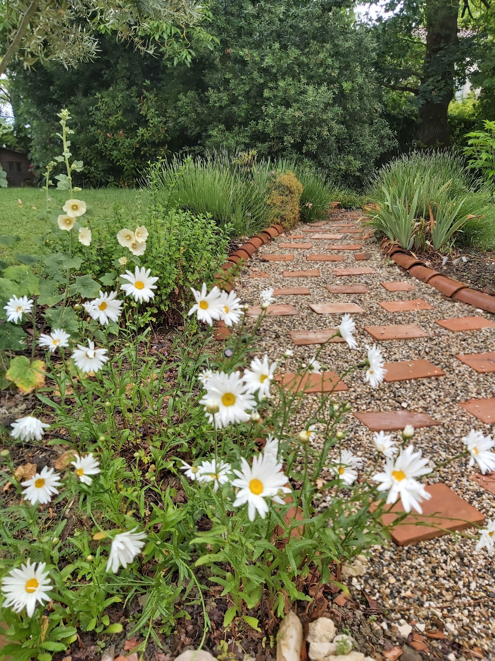 Homestay Francescas 428636