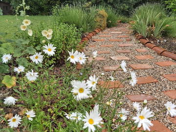 Homestay Francescas 428636-8