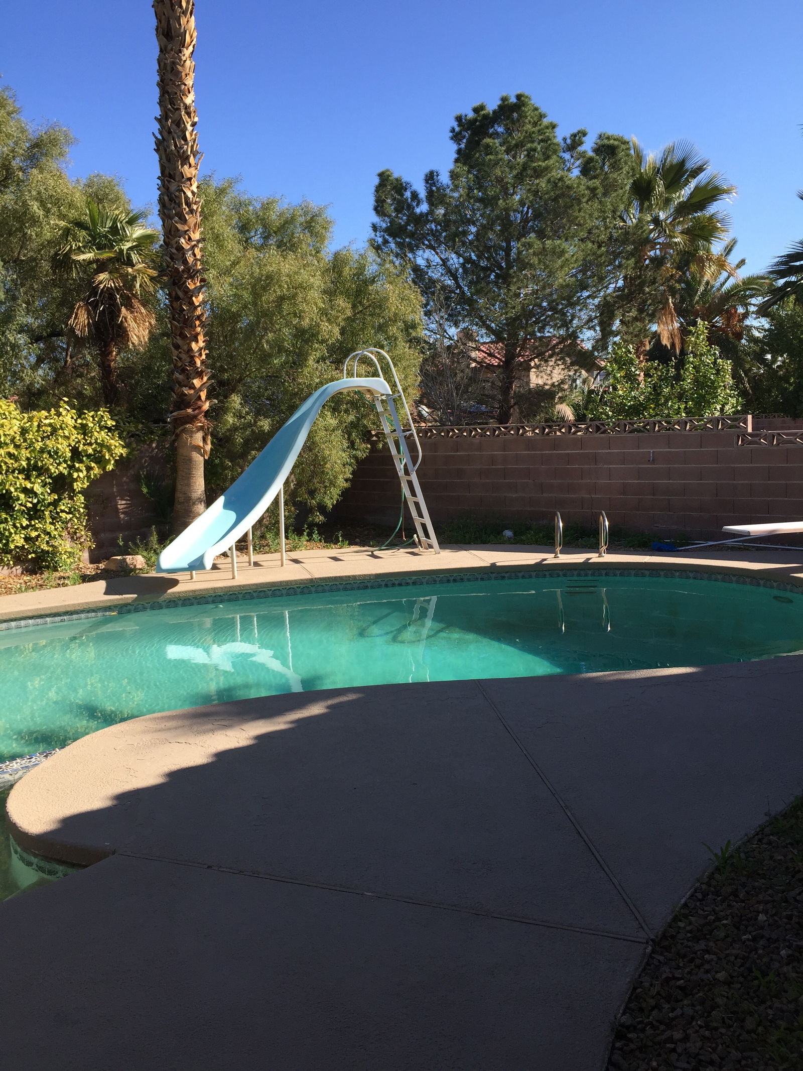 Gastfamilie Las Vegas 235487